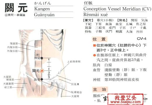 點(diǎn)擊將在新窗口查看全圖 五種肥胖的中醫艾灸減肥新方法【附圖文】